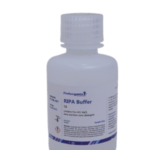 RIPA Buffer
